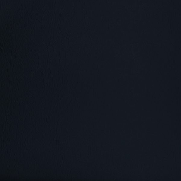 REGENT Navy
